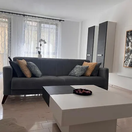 - Septimiu Albini - Cluj-Napoca
